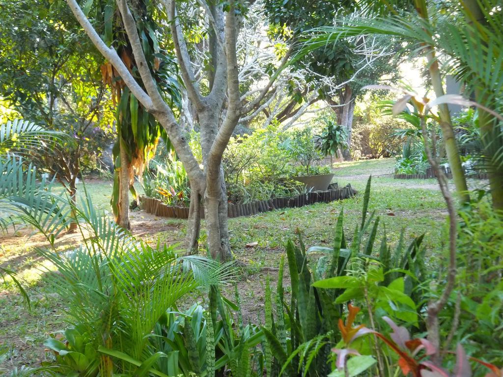 Saint Lucia Estuary نزل سانت لوسيا كينغ فيشر المظهر الخارجي الصورة